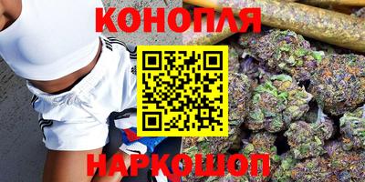 сатива Жуковский