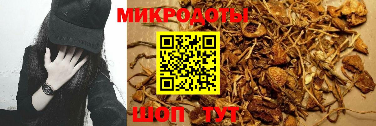 Галлюциногенные грибы GOLDEN TEACHER Родники