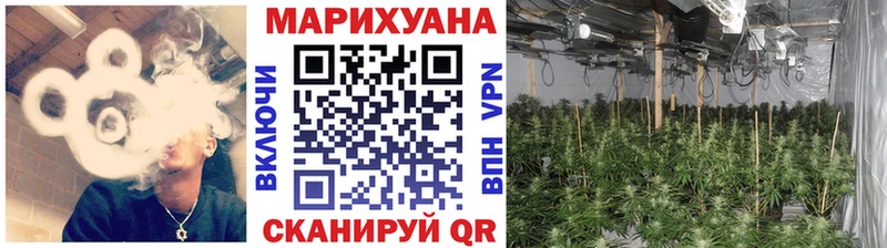 закладки  MEGA ССЫЛКА  Бошки марихуана ГИДРОПОН  Родники 